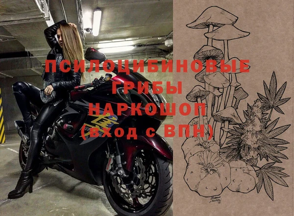 прущая мука Абаза